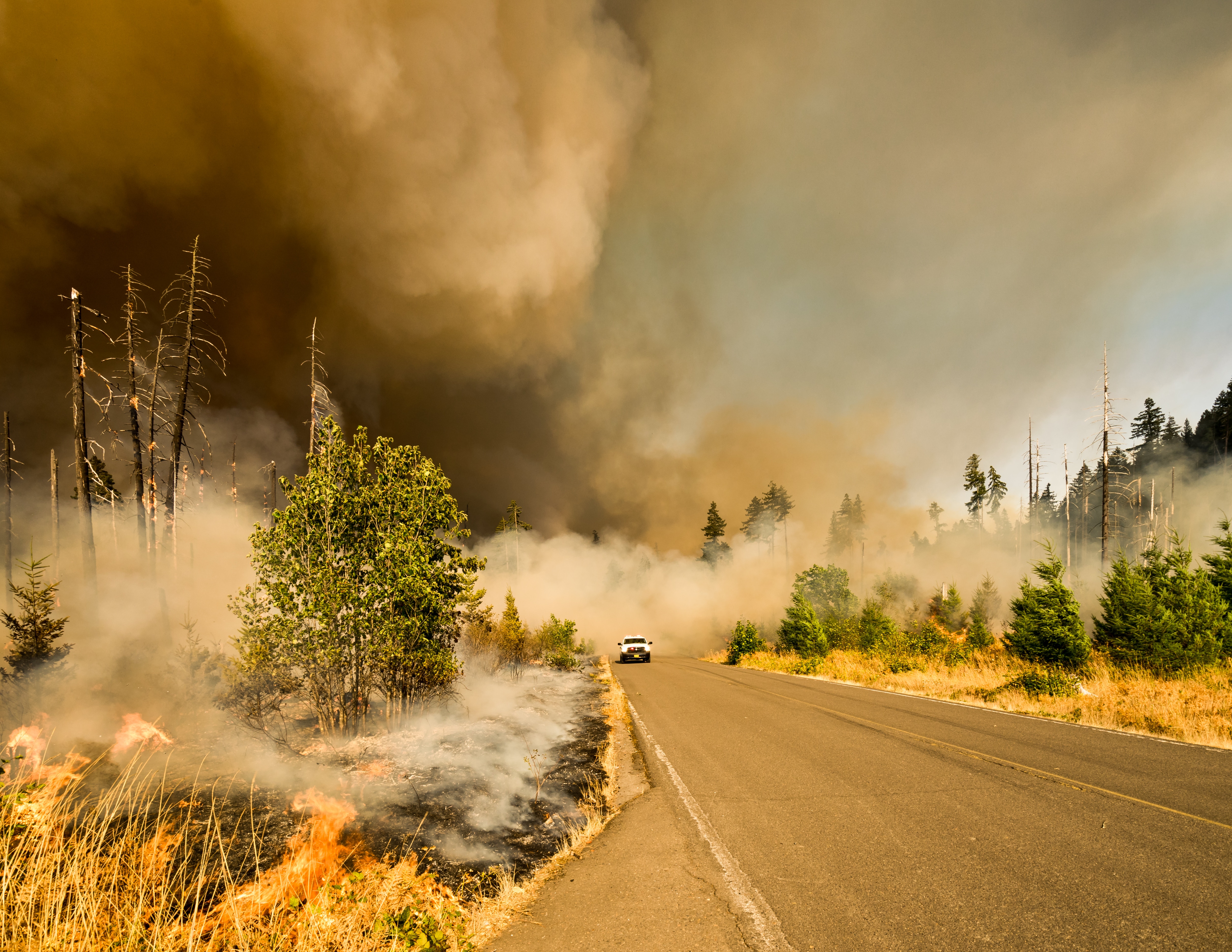 How to stay cool in hot weather » Yale Climate Connections