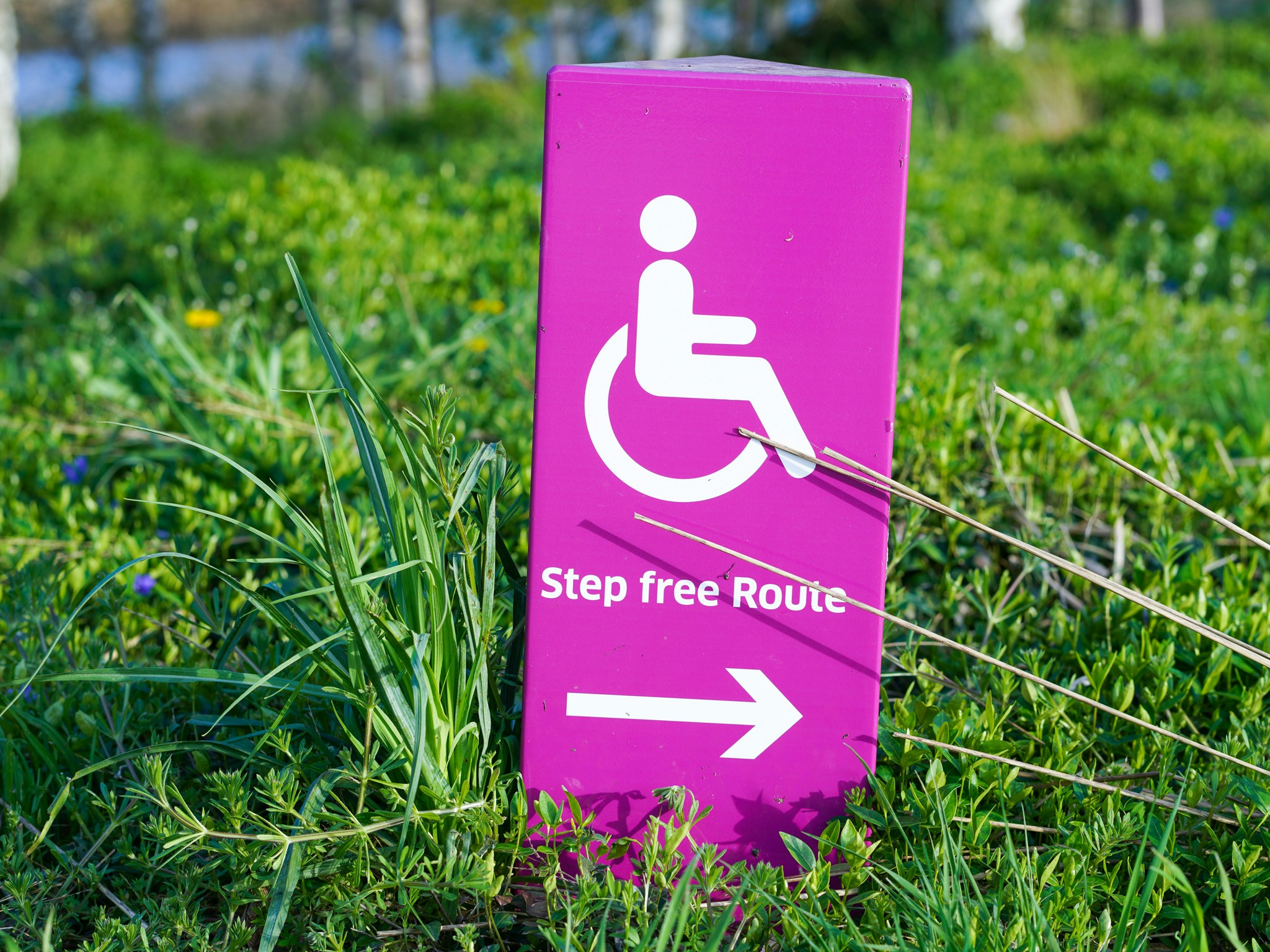New analysis: Americans with disabilities are more likely to report health harms from global warming