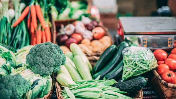 Yale Students Report Willingness to Adopt More Sustainable Diets