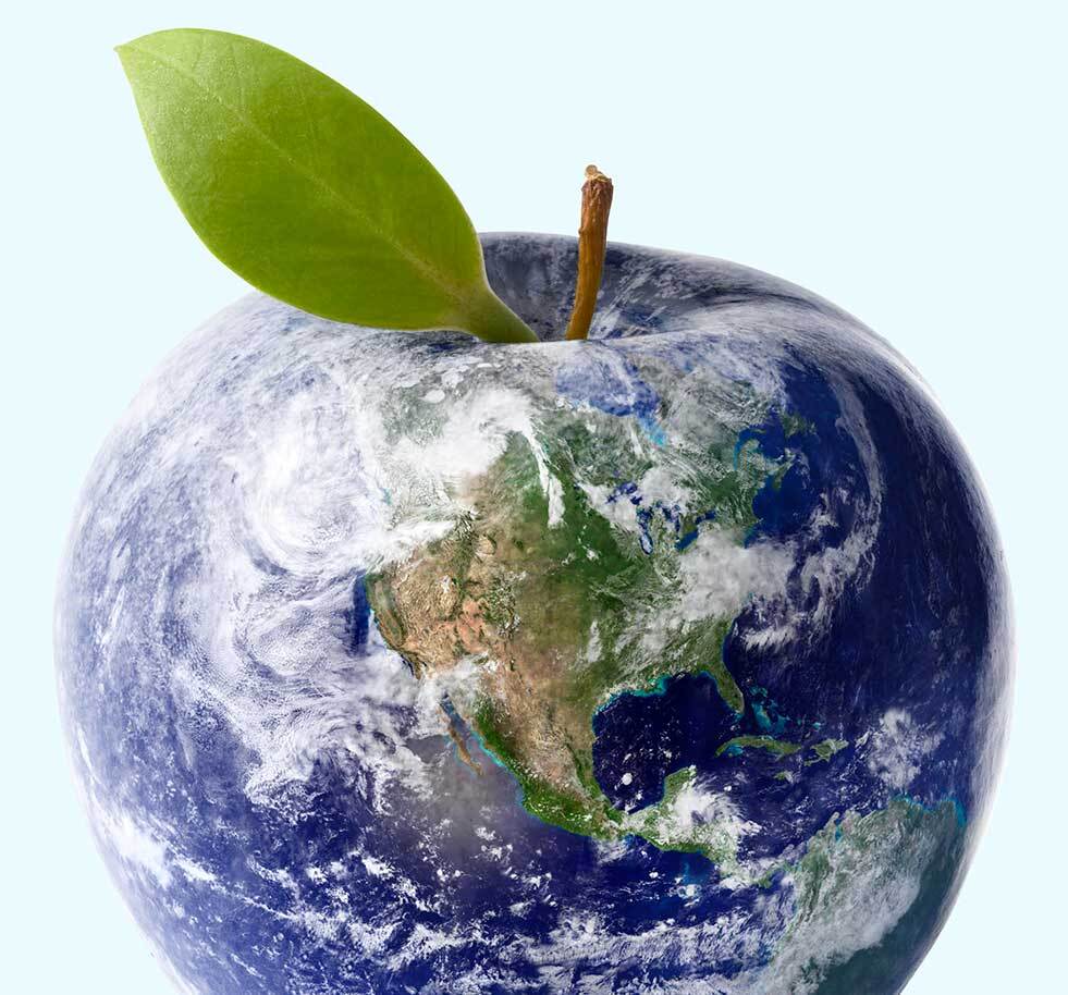 climate change essay for class 5