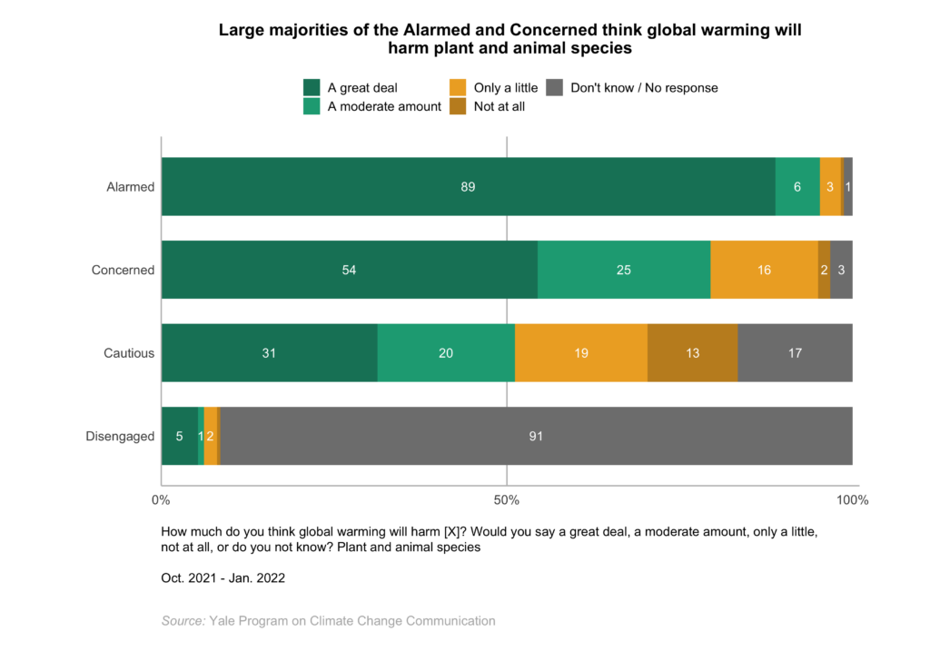 This bar chart shows how the Global Warming's Four Indias differ in global warming risk perceptions. Large majorities of the Alarmed and Concerned think global warming will harm plant and animal species. Data: Climate Change in the Indian Mind, 2022.