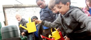 Primary school pupils plant and water sunflowers